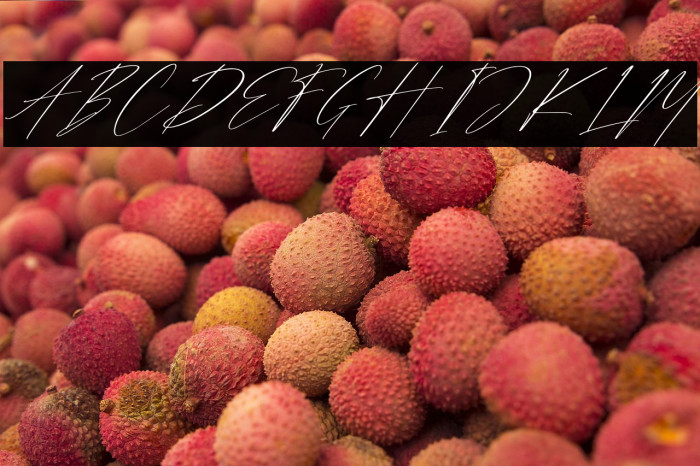 Strongela Delmonte Italic Example 2