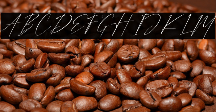 Strongela Delmonte Example 1