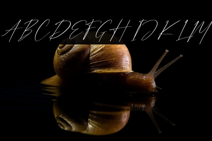 Strongela Delmonte Example 3