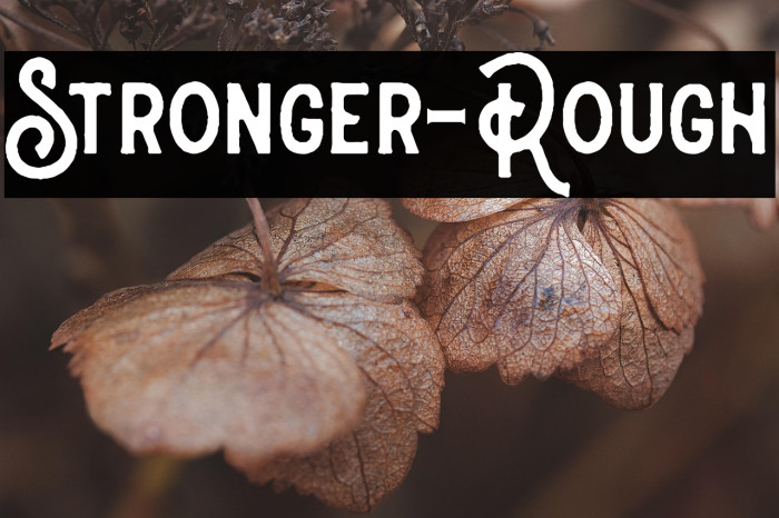 Stronger-Rough Example 3