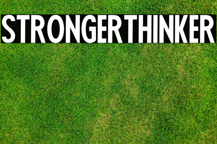 Stronger Thinker Example 2