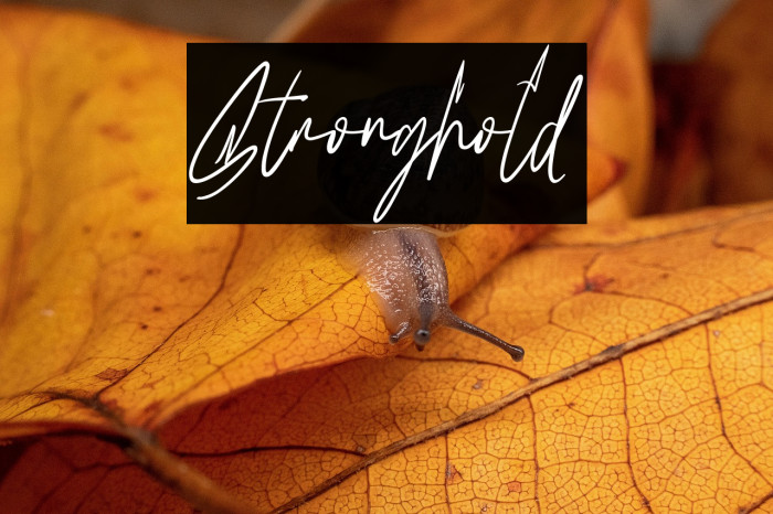 Stronghold Example 3