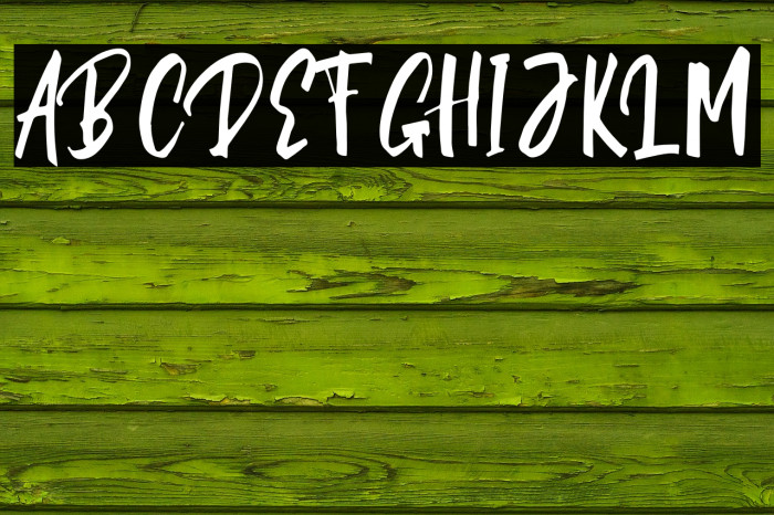 Strongwild Demo Font examples
