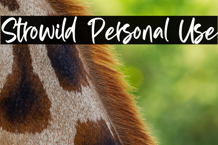 Strowild Personal Use Example 2