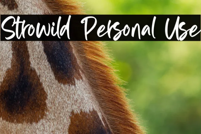 Strowild Personal Use Example 2