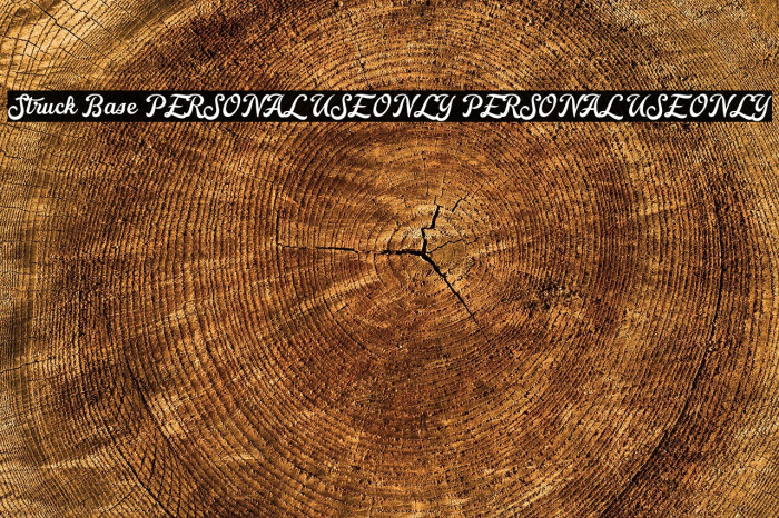 Struck Base PERSONAL USE ONLY PERSONAL USE ONLY Example 3