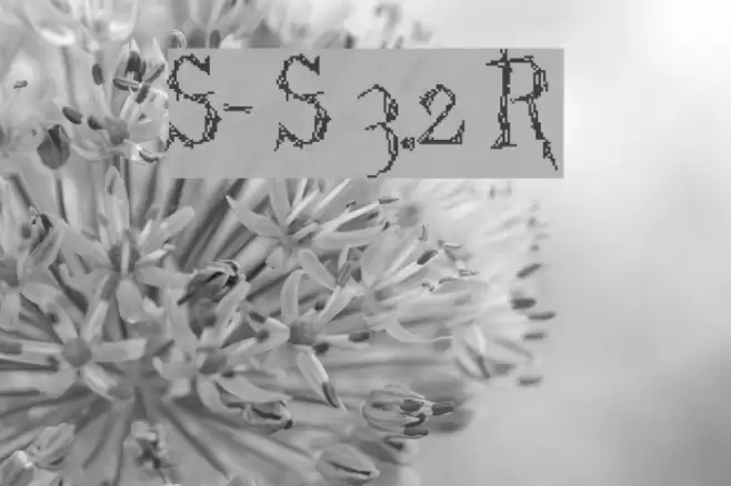 Struct-destruct Serif 3.2 Regular Caratteri examples