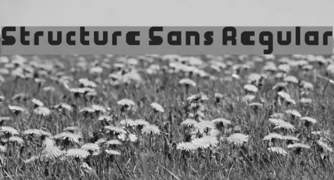 Structure Sans Regular Font examples