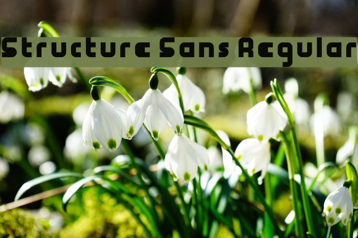 Structure Sans Regular Font examples
