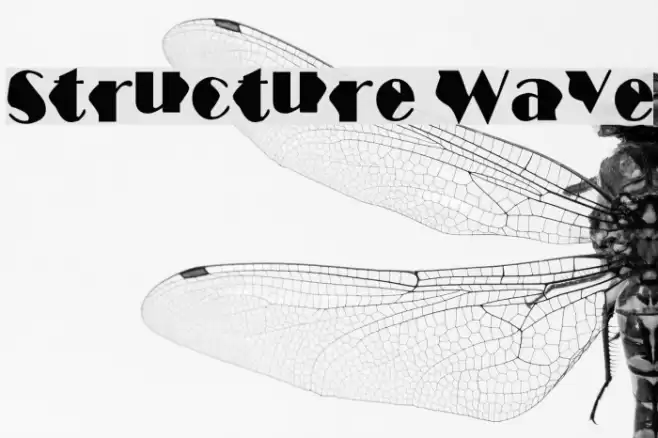 Structure Wave Font examples