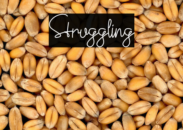 Struggling Example 3