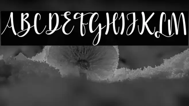 Sttessi Font examples