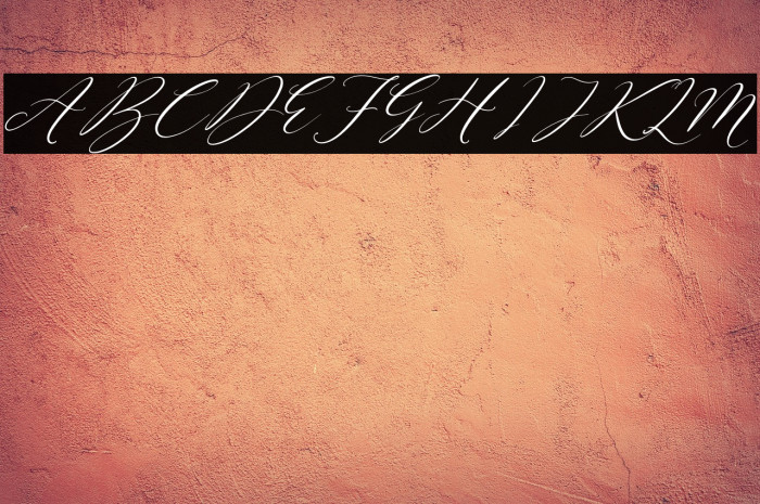 Sttevanie Barbara Italic Example 1