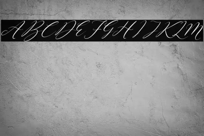 Sttevanie Barbara Italic Font examples