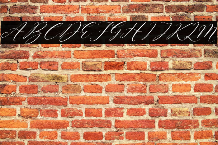 Sttevanie Barbara Italic Example 3