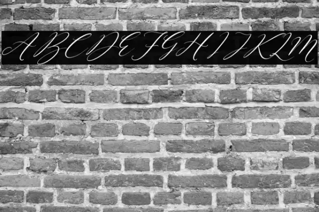 Sttevanie Barbara Italic Font examples