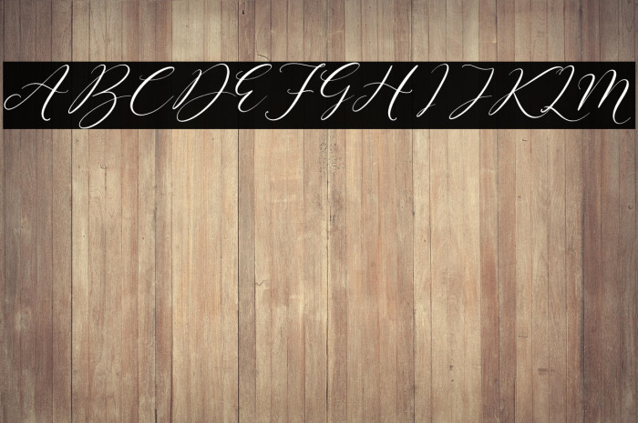 Sttevanie Barbara Example 2