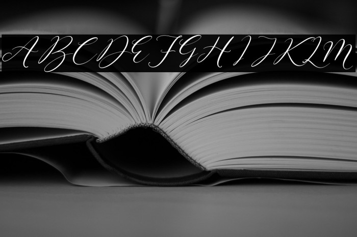 Sttevanie Barbara Example 3