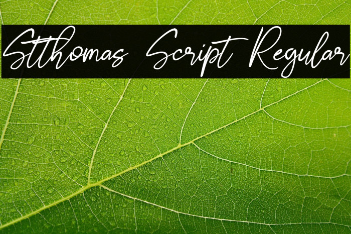 Stthomas Script Regular Example 1