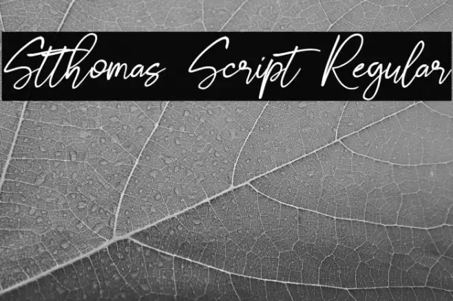 Stthomas Script Regular 字体 examples