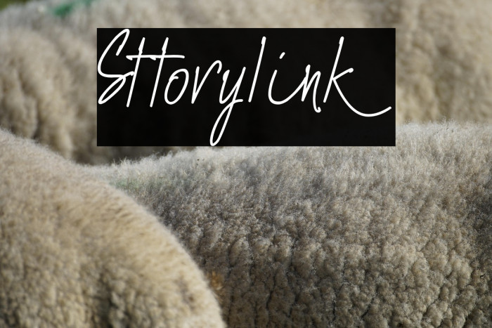 Sttorylink Example 3