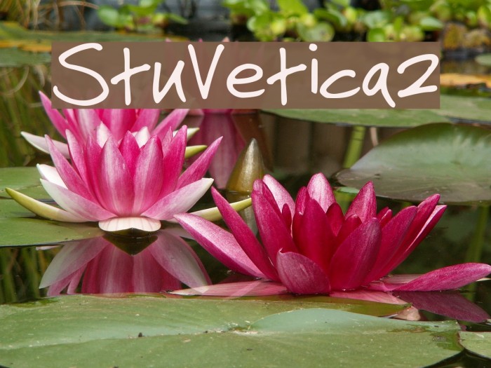 StuVetica2 Font examples