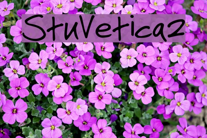 StuVetica2 Font examples