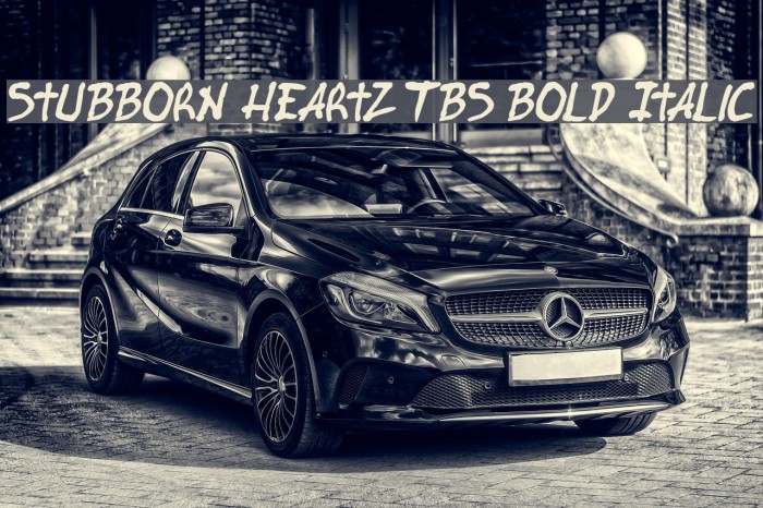 Stubborn Heartz TBS Bold Italic Font examples