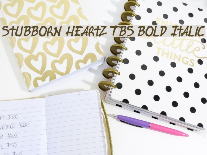 Stubborn Heartz TBS Bold Italic Font examples