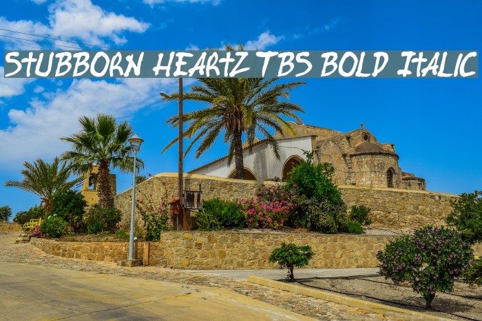 Stubborn Heartz TBS Bold Italic Font examples