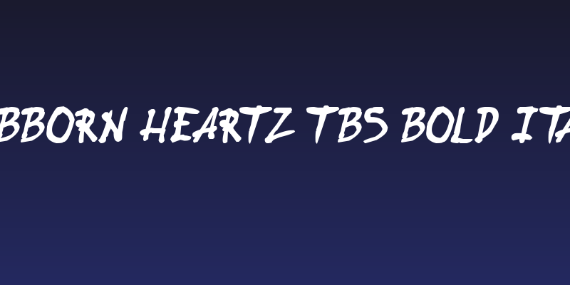 Stubborn Heartz TBS Bold Italic Social Header