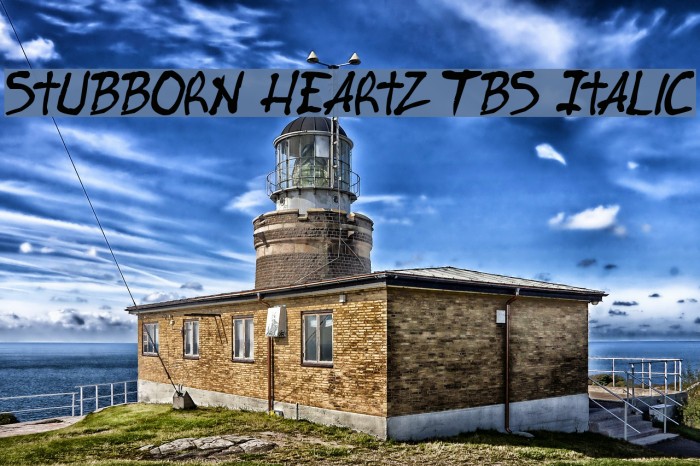 Stubborn Heartz TBS Italic Font examples