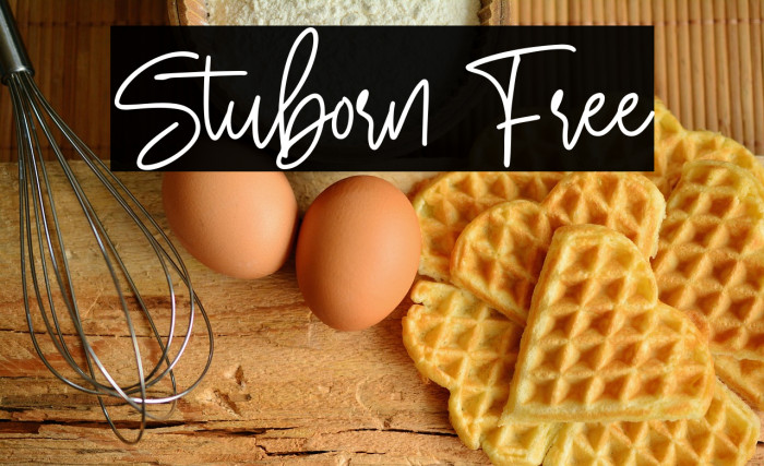 Stuborn Free Example 1