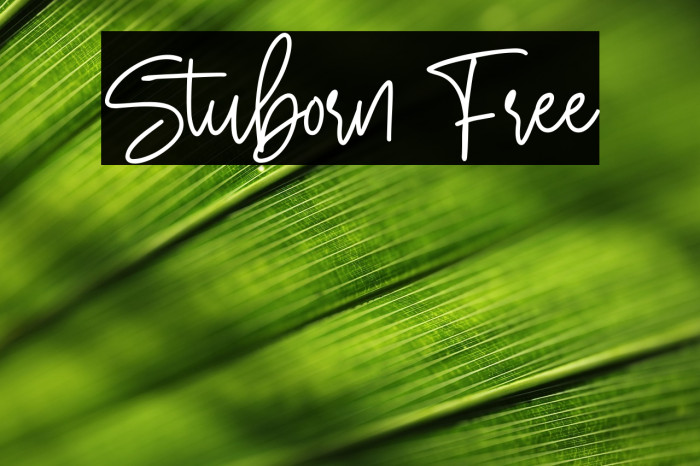 Stuborn Free Example 2