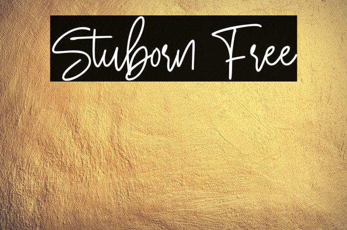 Stuborn Free Example 3