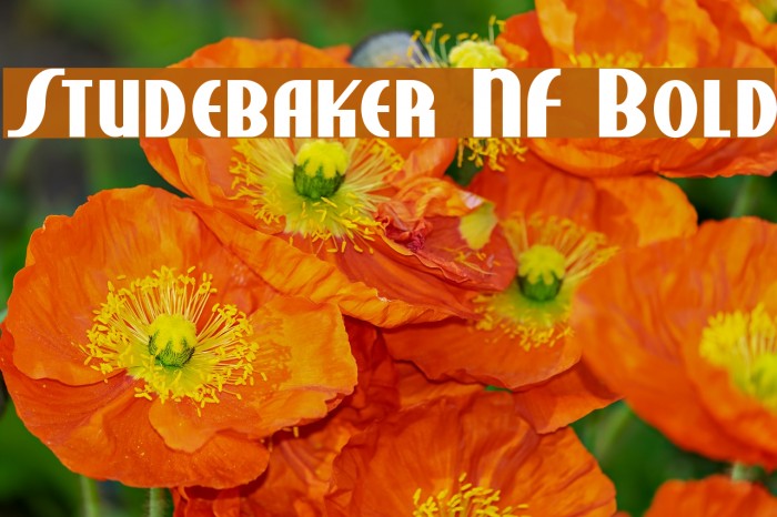 Studebaker NF Bold Font examples