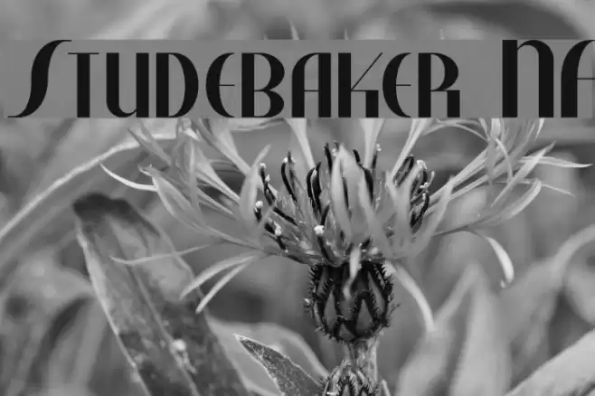 Studebaker NF Font examples