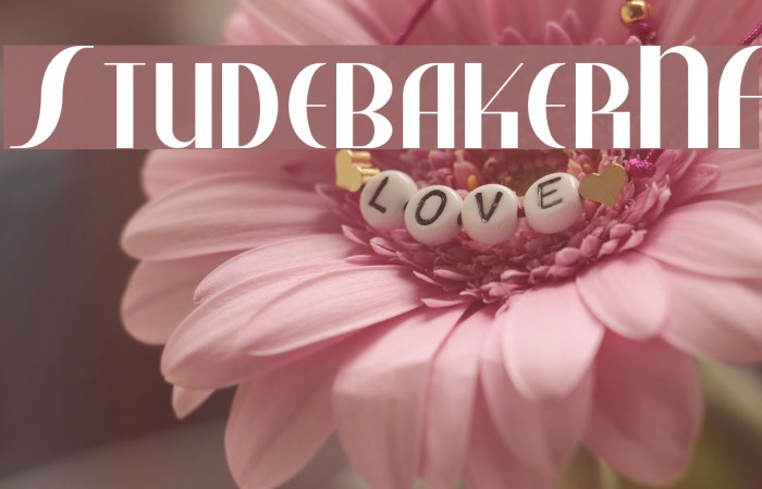 StudebakerNF Font examples