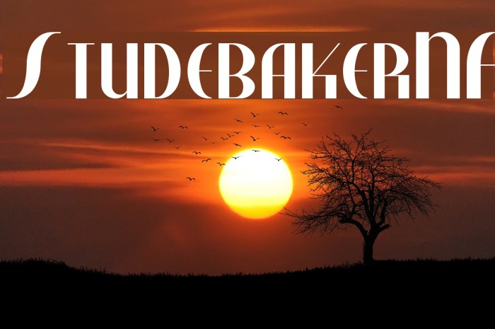 StudebakerNF Font examples
