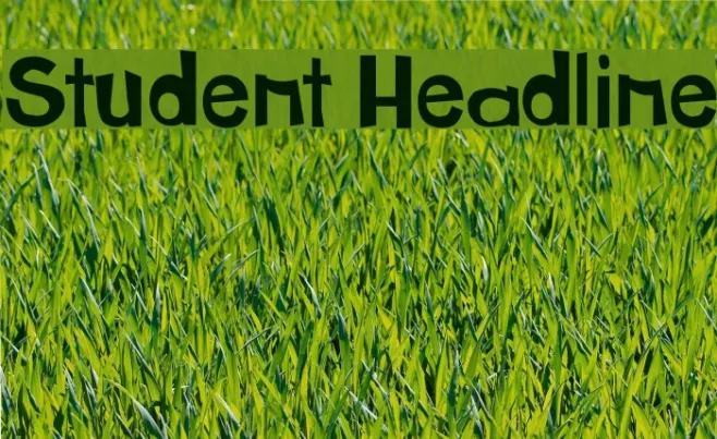 Student Headline Example 1