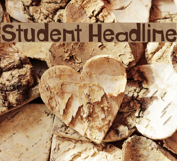 Student Headline Font examples
