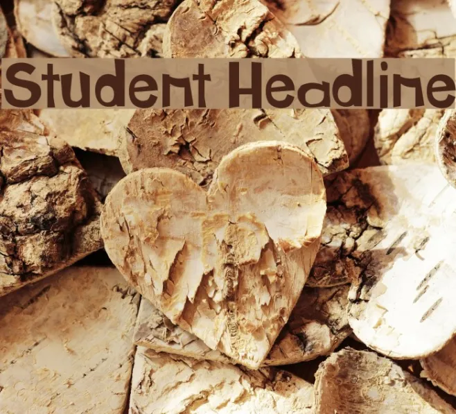 Student Headline Example 2