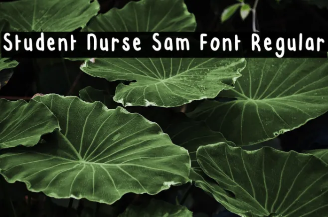 Student Nurse Sam Font Regular Example 1