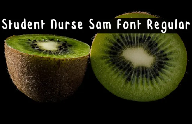 Student Nurse Sam Font Regular Example 2