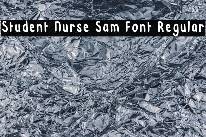 Student Nurse Sam Font Regular Example 3