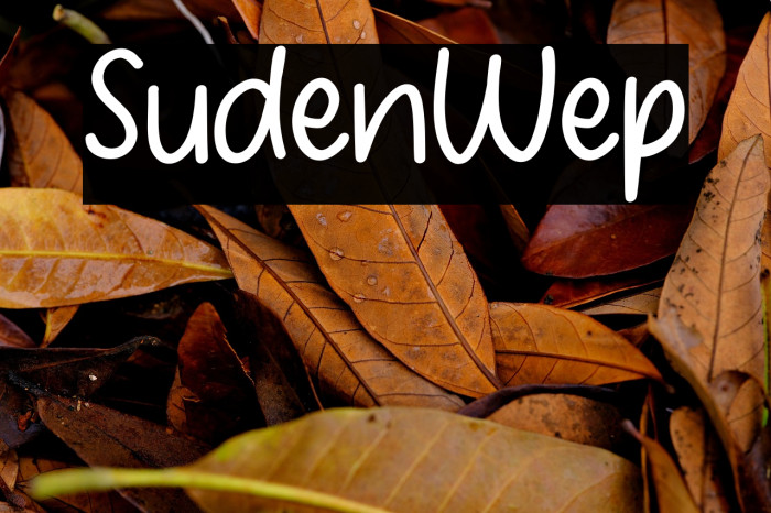 Student Wep Example 2