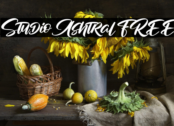 Studio Ashtral FREE Example 2