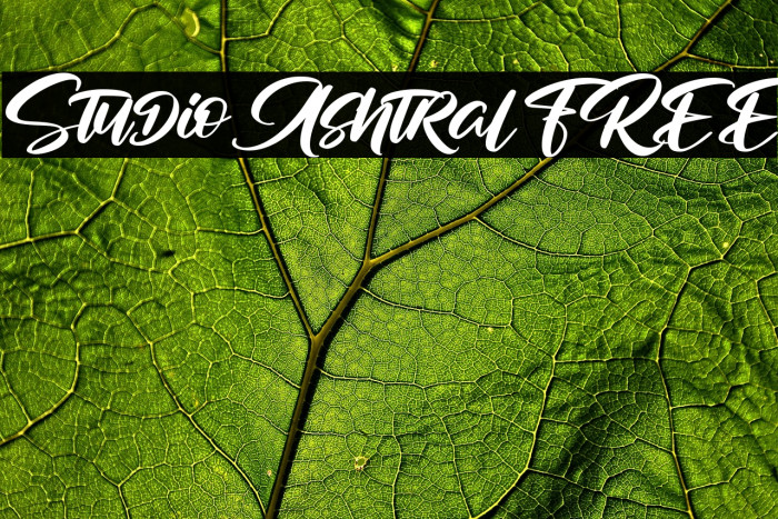 Studio Ashtral FREE Example 3