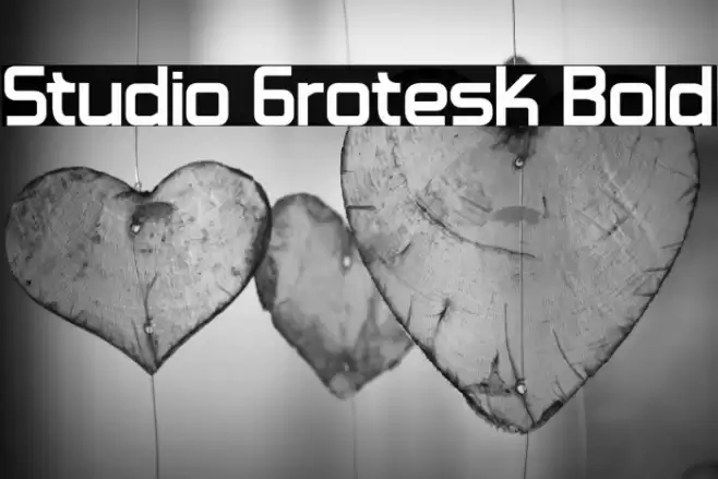 Studio Grotesk Bold Font examples