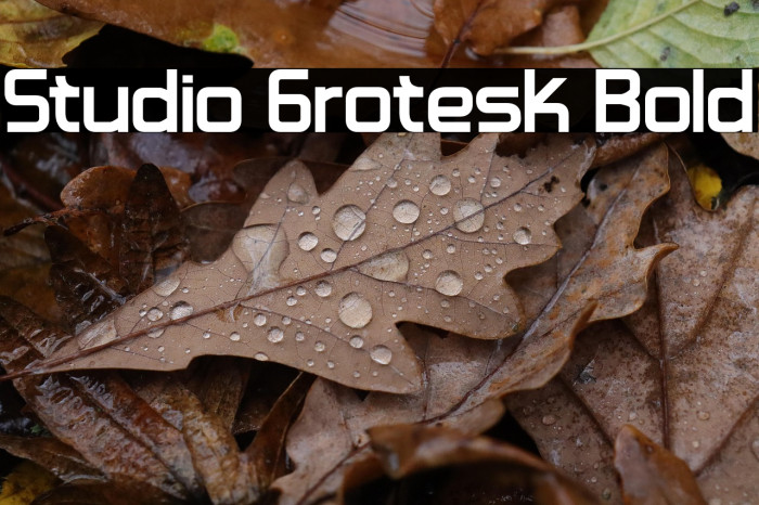 Studio Grotesk Bold Example 2